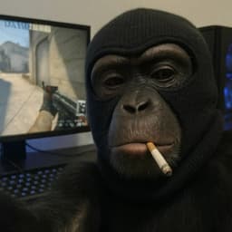 CallMeHorh