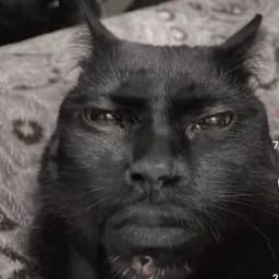 aphex0