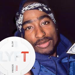ThyboYolo