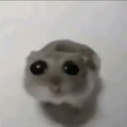 mikrob13