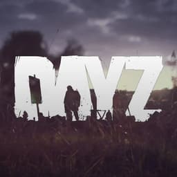 Rayzicks