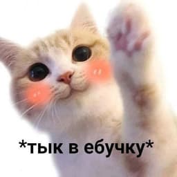 LeMoNfh
