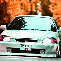 dbrvM