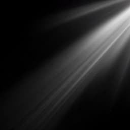LIGHT10086
