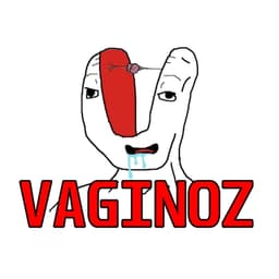 VAGINOZ322