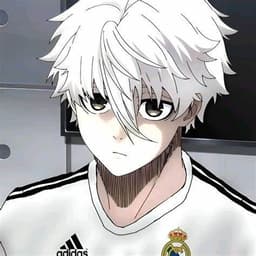 akiraffq