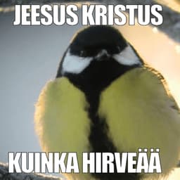 Jonizzki