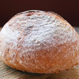 CHLEBOTOP