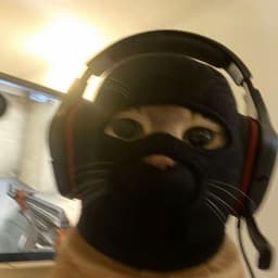 kaijinsam