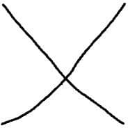 DimanusX