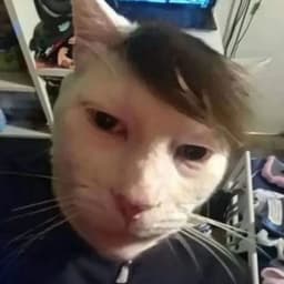 izzyhellsize