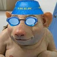 Giffel_cap