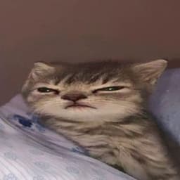 dexyvv0s