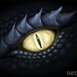 X_MARADER_X