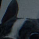 Hompy_7