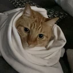 HUMINGDE