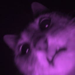 m0ra_hell
