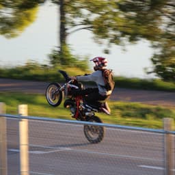velhomani