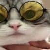 skeanie