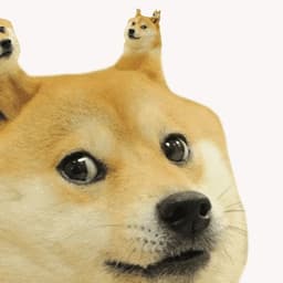 Potwoad