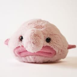 KarryGB