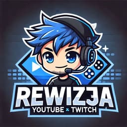 rewizja