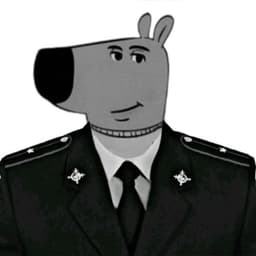 naissi81