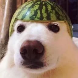 rustyteen