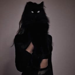 meshkute