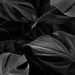 _gleam_
