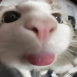 maloYzEr