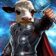 HerrV