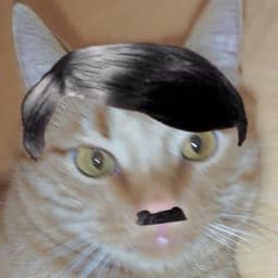 CapychXD