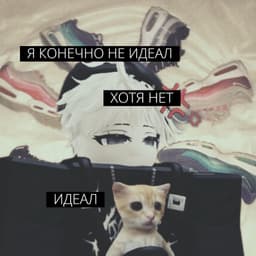 toxxyqq