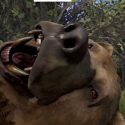 20GOROX0