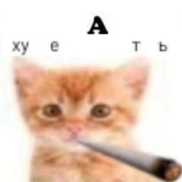 cloudmatexx