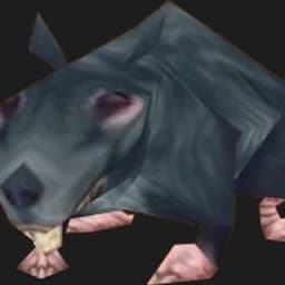 Sobaka_Kycb