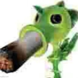 matitocego