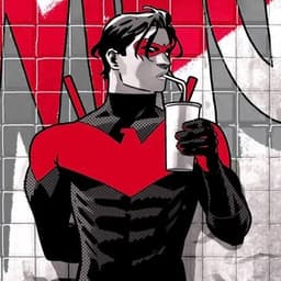 22Nightwing