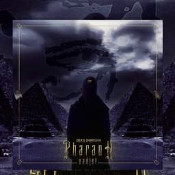 apm_