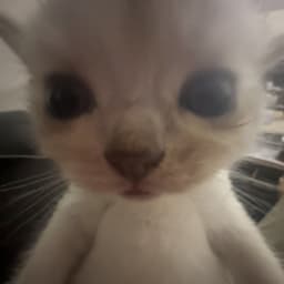 MrTim13