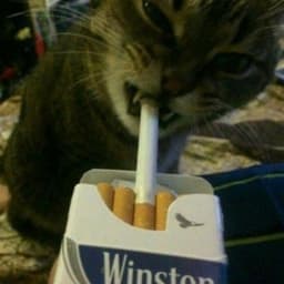 420