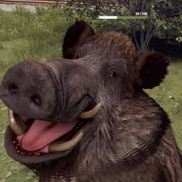 kostaneban69