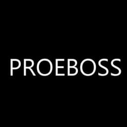 PRORBOSS