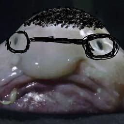 Sebbee7