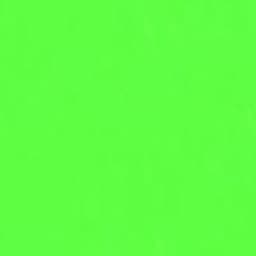 Beluga_-_