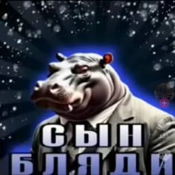 CbIH_BLYADI