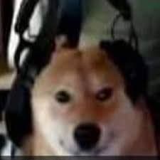 ViniGatron