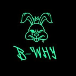 B-WHY
