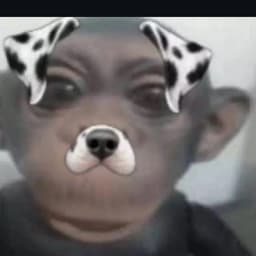 Cr1ssJ